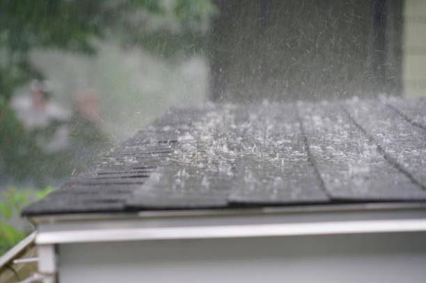 Best Siding  in Lakewood, OH